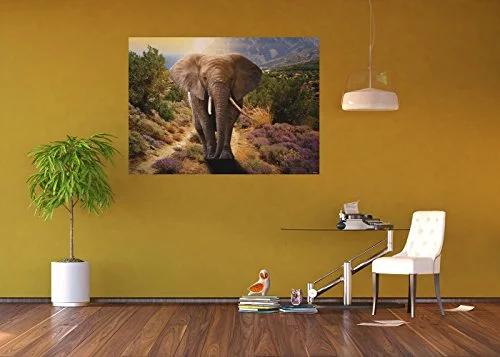 AG Design FTM 0865 Elefant papper fototapet, flerfärgad, 160 x 115 cm 8595577908658