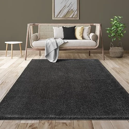 Mia's Mattor jätte modern fluffig tät kort lugg vardagsrumsmatta supermjuk känsla, melange effekt, elegant glans 4065656049854