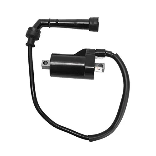 Akozon Tändspole Ersättning lämplig för 1999-2002 SV650 Praktiskt tillbehör 739665501422