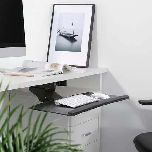 RICOO PC tangentbordsbricka lutning vridbar under skrivbord låda ergonomisk hylla med glidande löpare CZ0200 justerbar dator knappsats montering svart 4260201865808