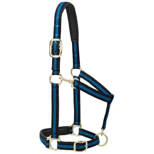 Väv läder vadderad justerbar nylon hästgrimma blå, 2,5 cm genomsnittlig häst 399430099